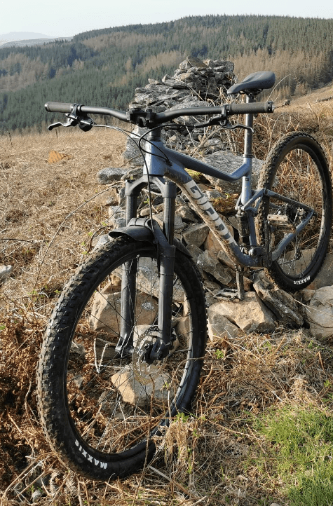 MTB